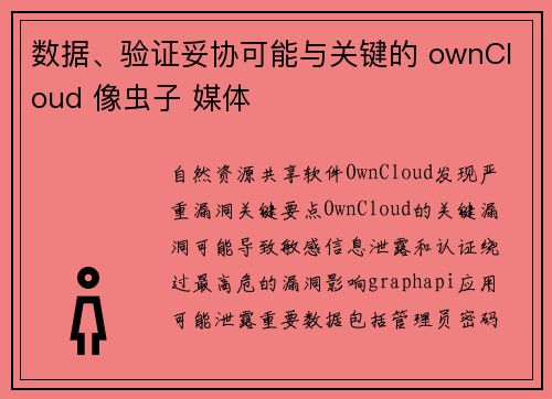 数据、验证妥协可能与关键的 ownCloud 像虫子 媒体